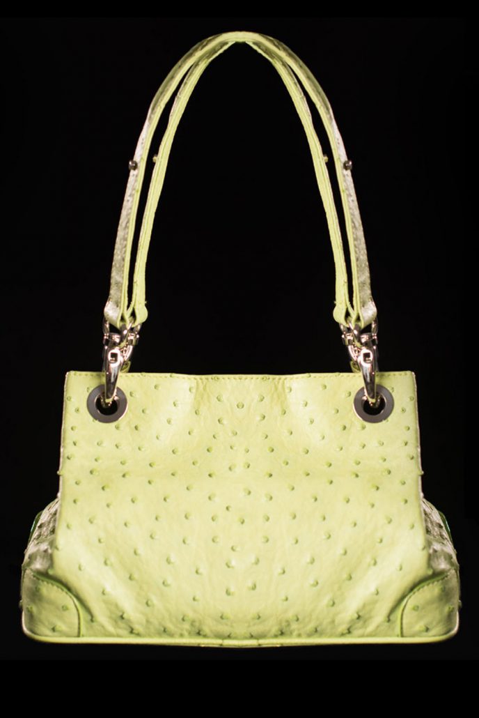 vanStevens-_0015_tasche10