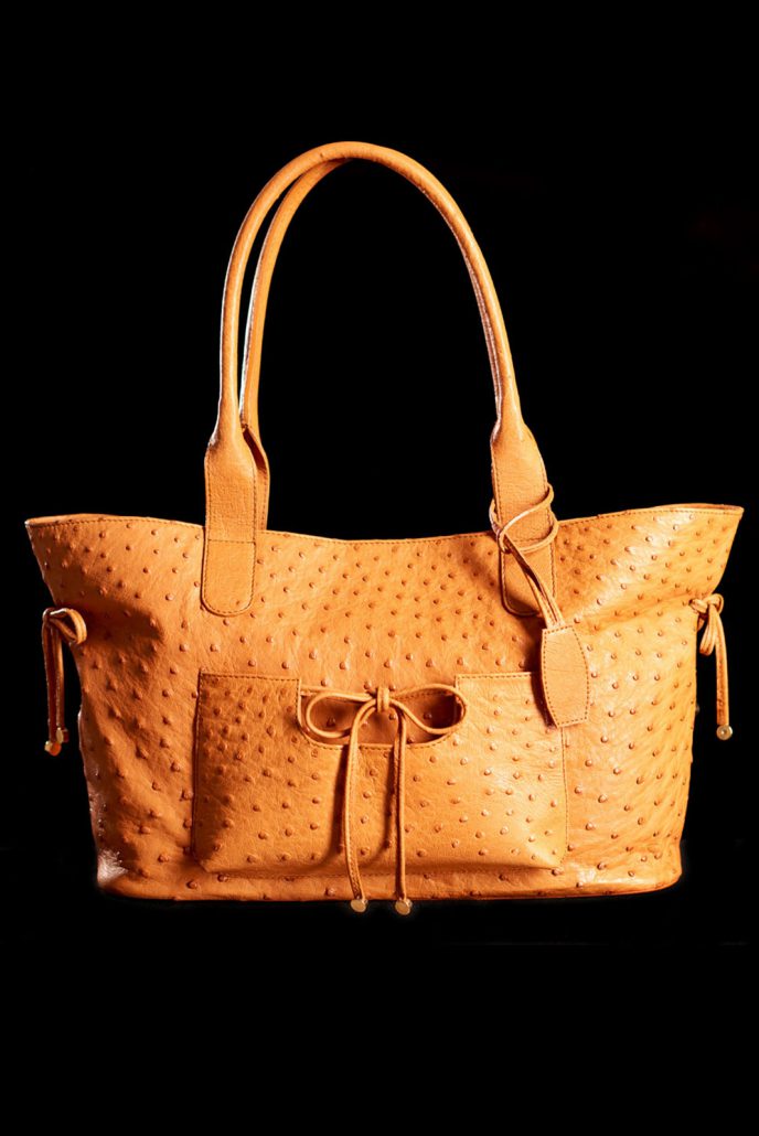 vanStevens-_0016_tasche09